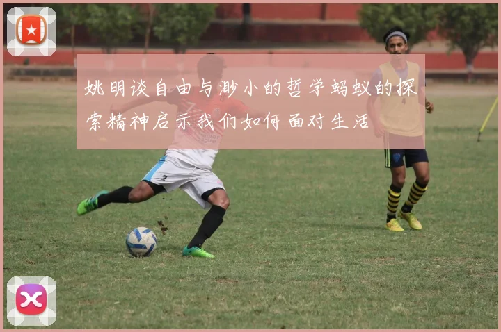 姚明谈自由与渺小的哲学蚂蚁的探索精神启示我们如何面对生活